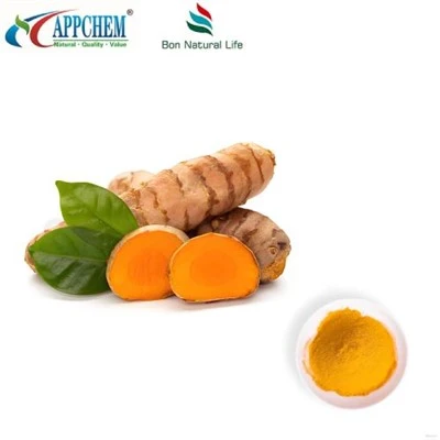 Bubuk curcumin HPLC95%; Curcuminoid; Ekstrak kunyit