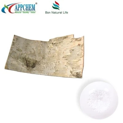 Serbuk kulit kayu birch Betulin