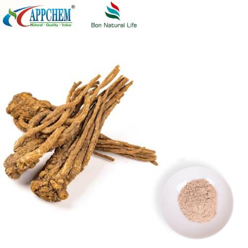 Bubuk Ekstrak Angelica Sinensis