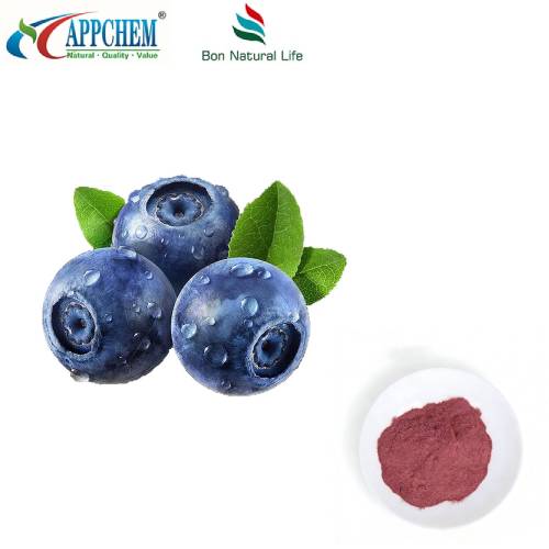 Bubuk Jus Blueberry