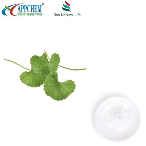Bubuk Ekstrak Centella Asiatica