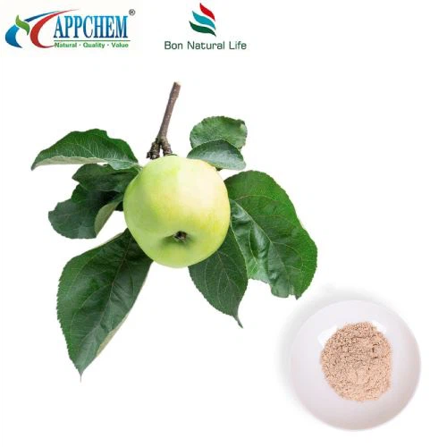 Bahan Kosmetik Phloretin 60-82-2