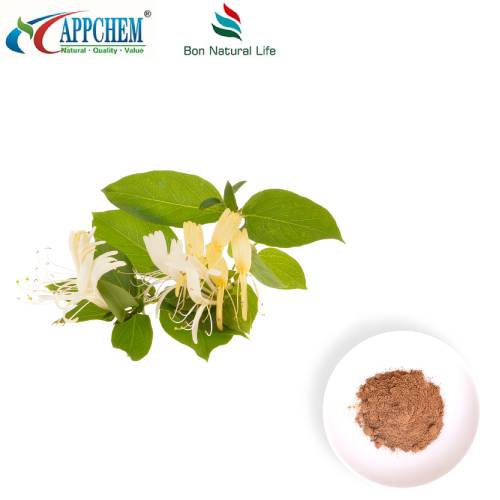 Bubuk Ekstrak Bunga Honeysuckle
