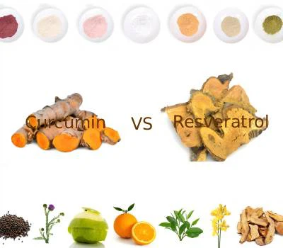 Kurkumin vs Resveratrol: Polifenol Mana yang Memberikan Nilai Fungsional Lebi...