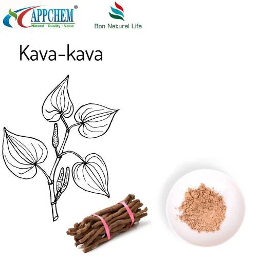 Ekstrak Kava