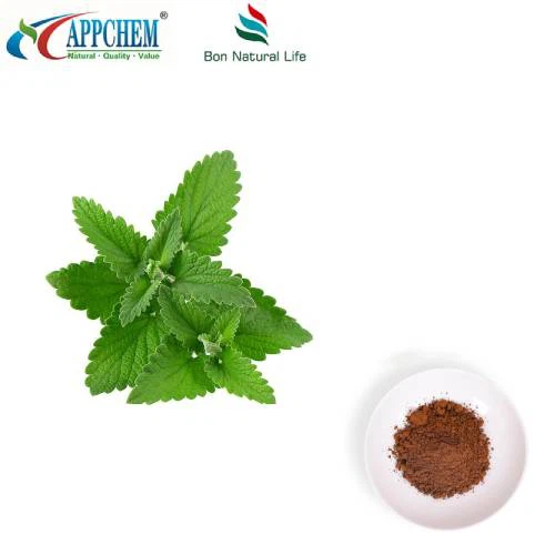 Bubuk Ekstrak Lemon Balm