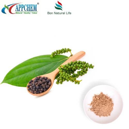 Bubuk Ekstrak Buah Ligustrum