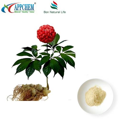 Ekstrak Akar Notoginseng