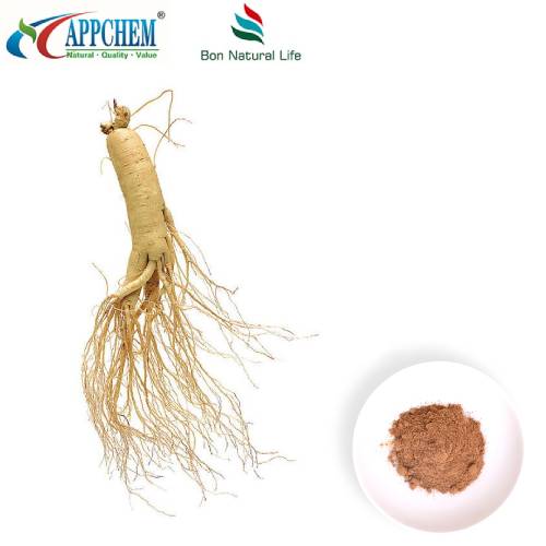 Bubuk Ekstrak Panax Ginseng
