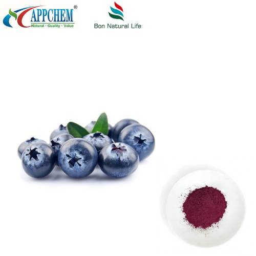 Bubuk Ekstrak Blueberry Murni