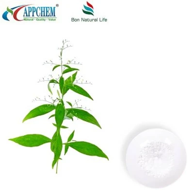 Ekstrak Andrographis Paniculata Andrographolide