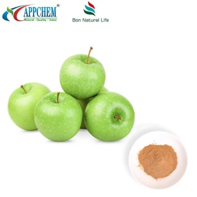 Ekstrak Apel Bubuk Procyanidin B2 Tersedia