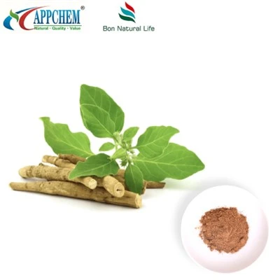 Ashwagandha Extract Powder (Withanolides) memproduksi 30655-48-2