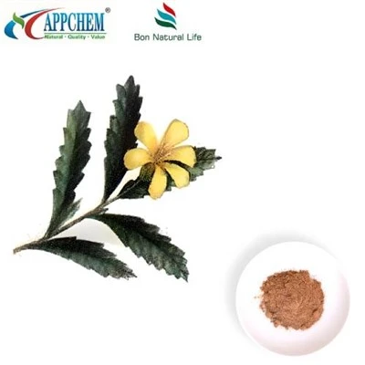 Bubuk Ekstrak Damiana