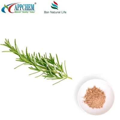 Bubuk Rosemary Kering