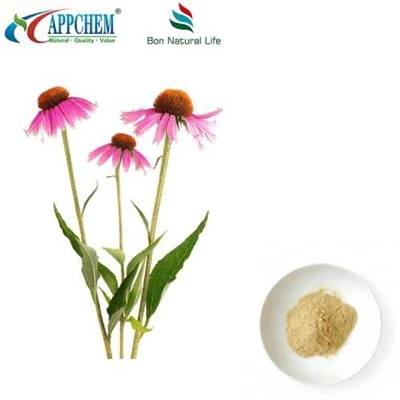 Bubuk Ekstrak Echinacea Purpurea