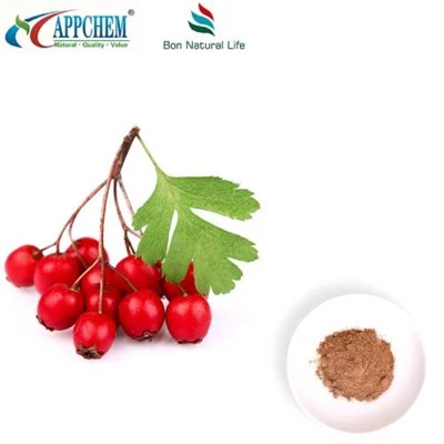 Ekstrak Daun Hawthorn