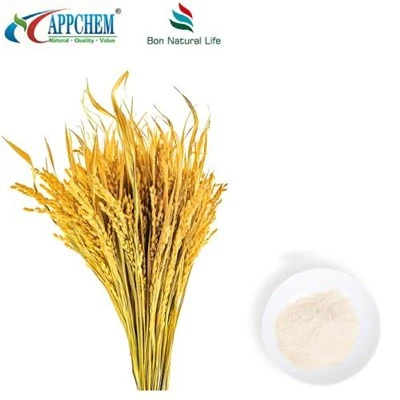Bubuk Asam Ferulic Alami