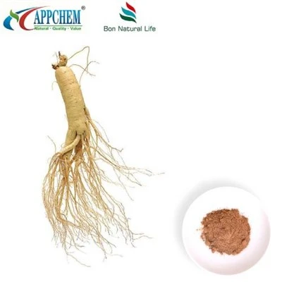 Bubuk Ekstrak Panax Ginseng