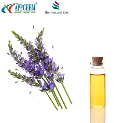 Minyak Esensial Lavender Murni