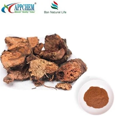 Bubuk Ekstrak Rhodiola Rosea