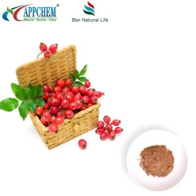 Bubuk Ekstrak Rosehip