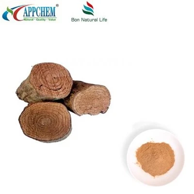 Bubuk Salacia Reticulata