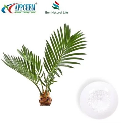 Bubuk Ekstrak Saw Palmetto