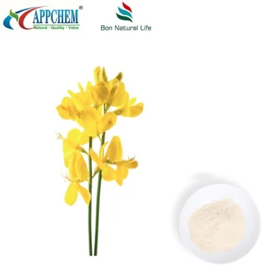 Ekstrak Thermopsis lanceolata R.BR; Sittisin HPLC98% Powder 485-35-8